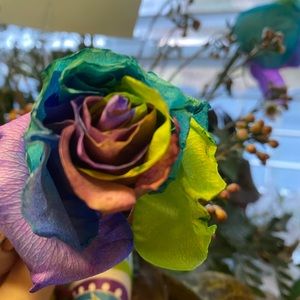 It’s a Beautiful Day!